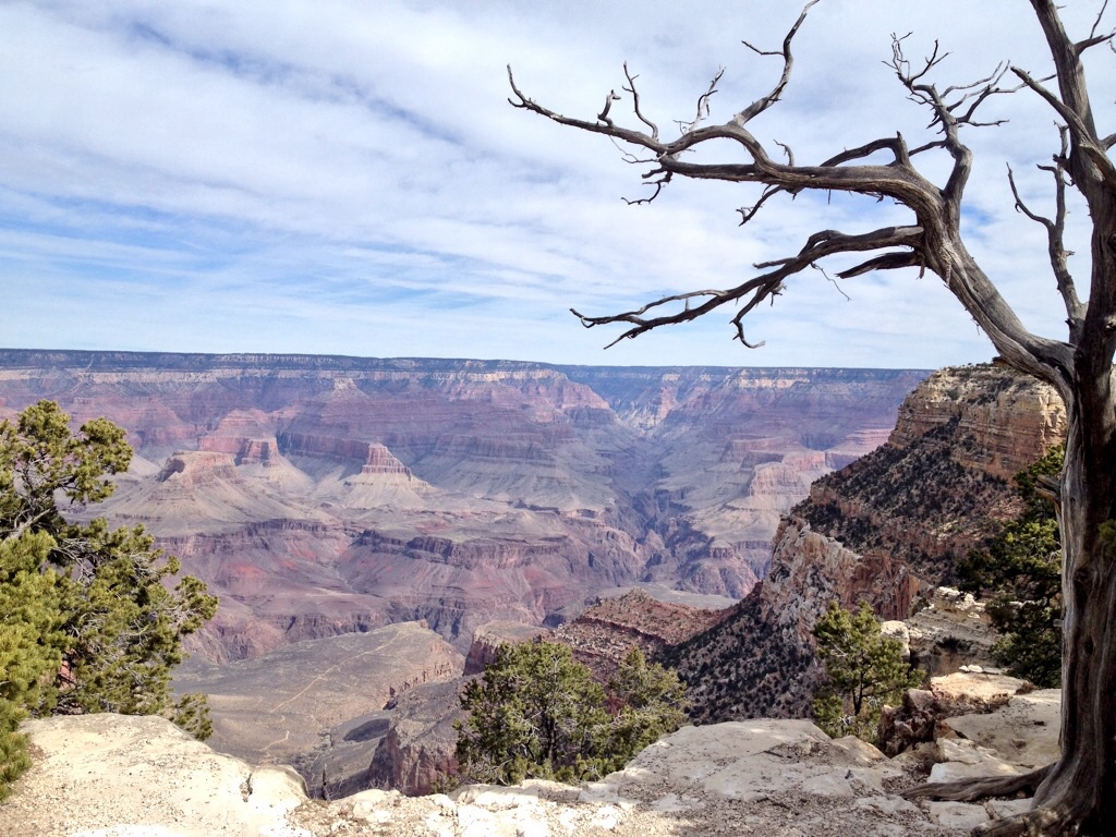 The view from the Rim Trail at the Grand Canyon National Park.