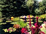 Chihuly Exhibit at the Denver Botanic Gardens