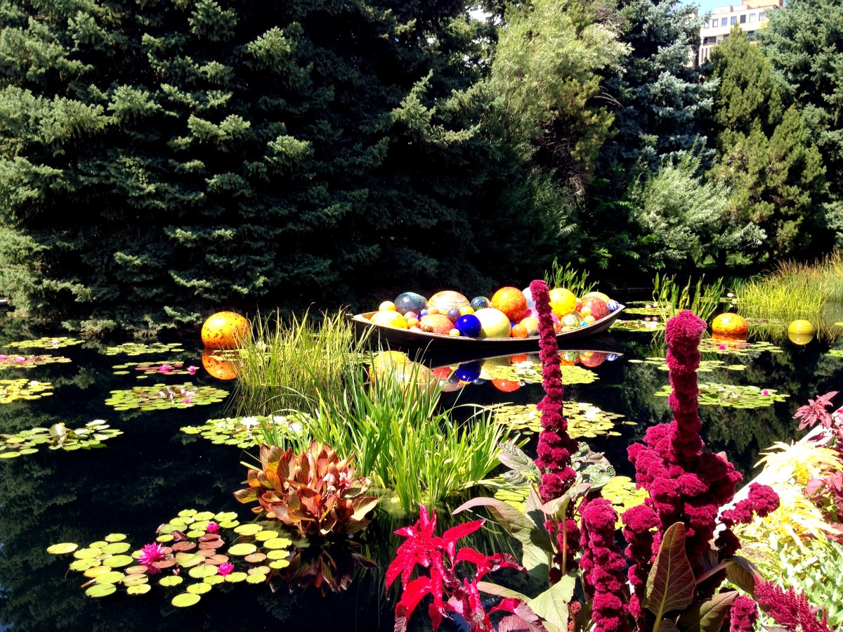 Chihuly Exhibit at the Denver Botanic Garden
