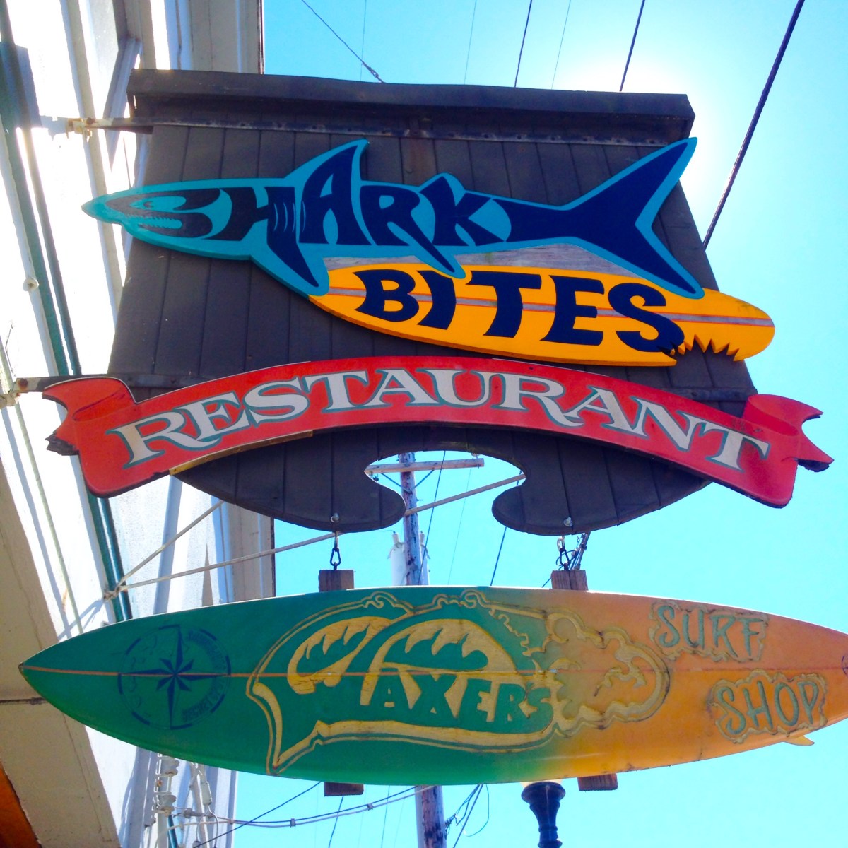 Shark Bites in Coos Bay, Oregon
