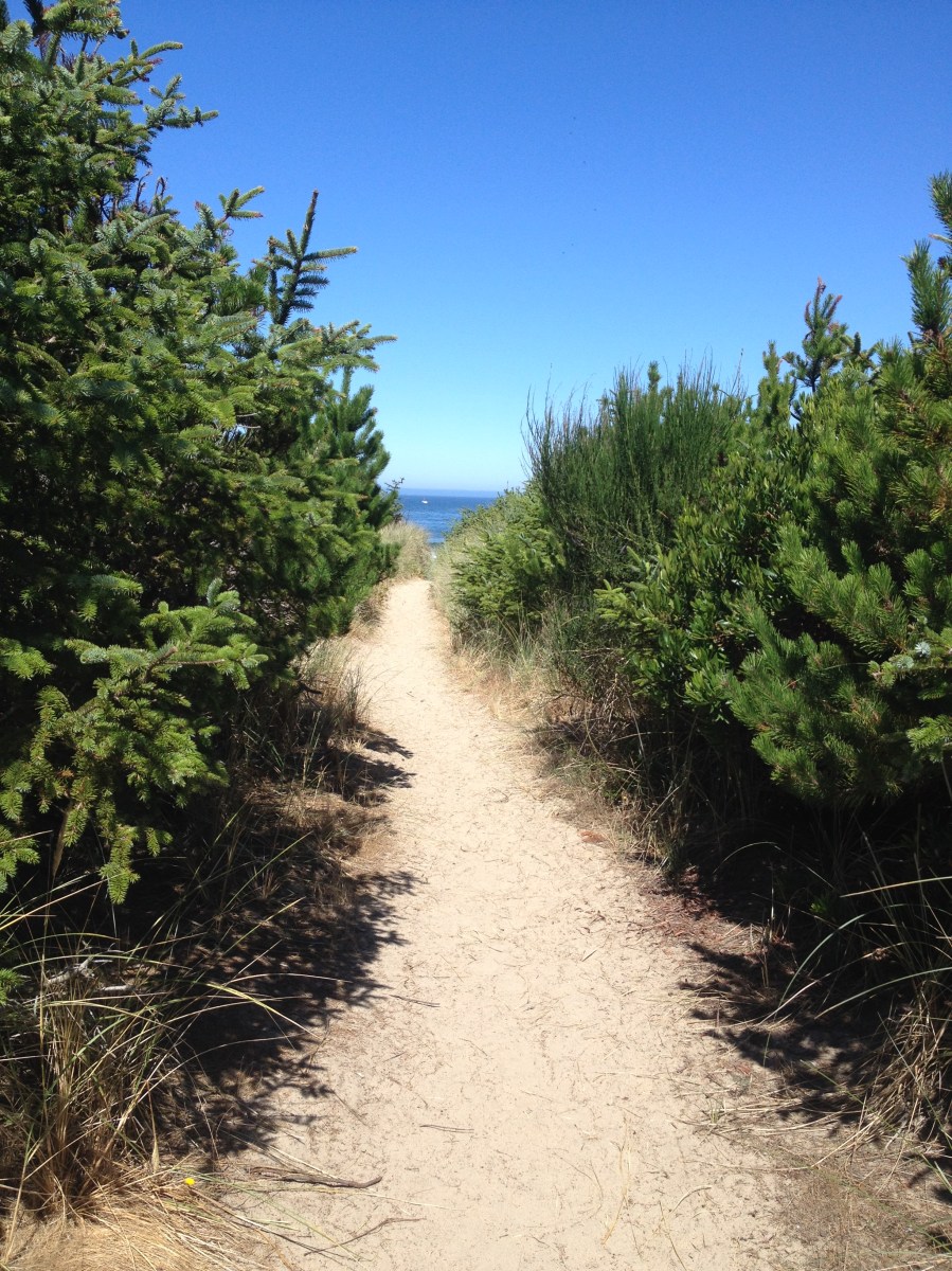 Trail to beach at Oceanside