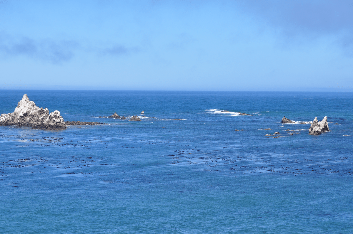 The view from Cape Arago