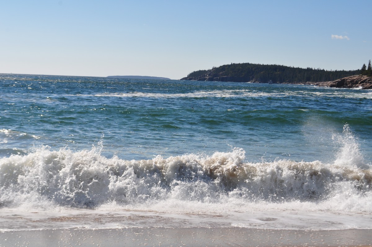 Sand Beach Acadia at National Park