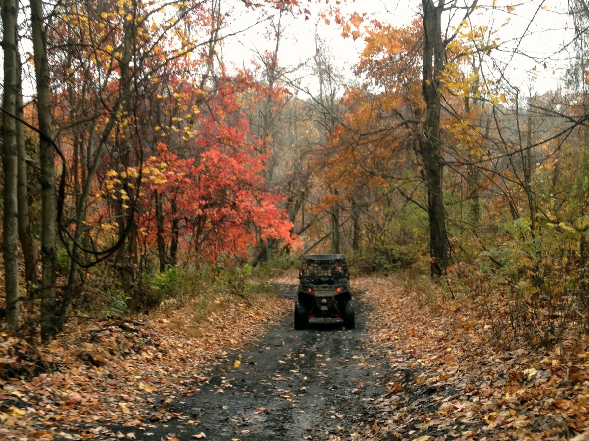 Hatfield McCoy Trail Ride