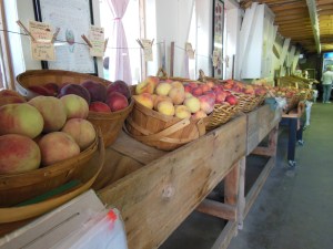 Williamson Orchard and Vineyards in Caldwell, Idaho