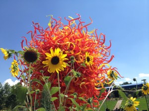 Chihuly exhibit at Denver Botanic