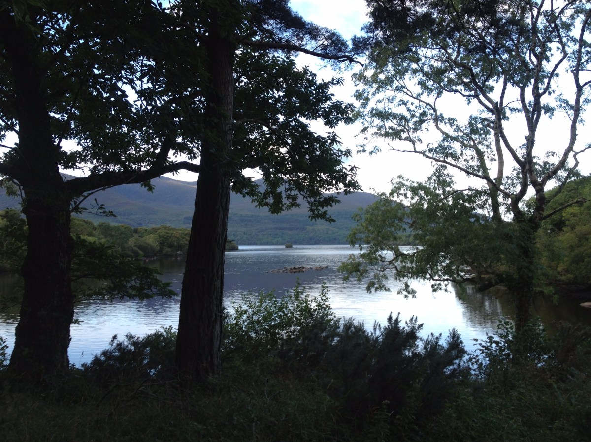 Killarney National Forest