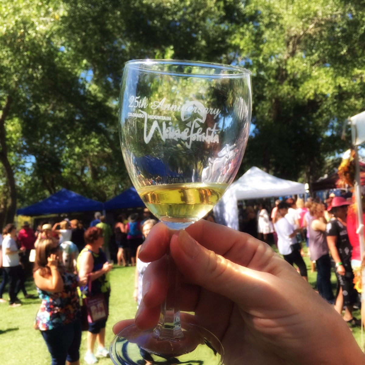 Palisade Wine Fest