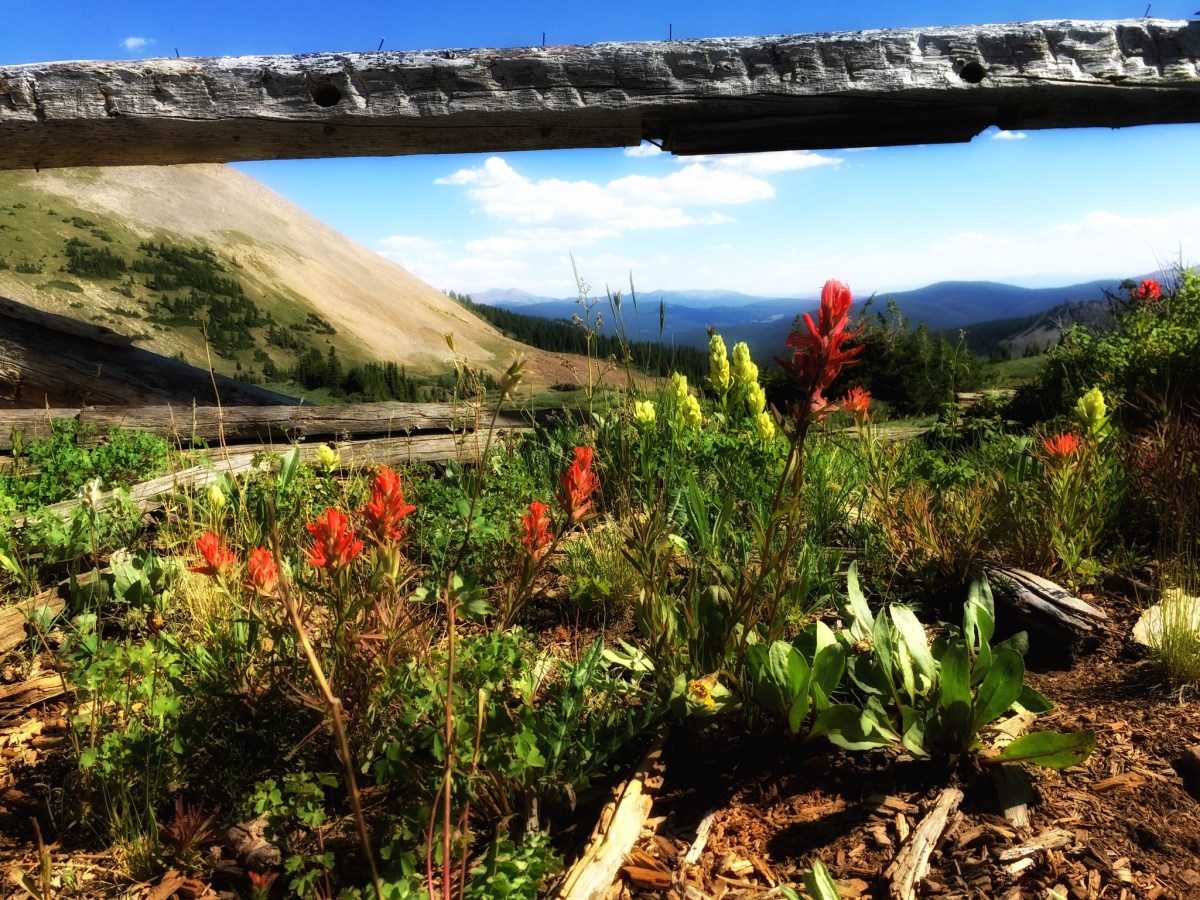 Exploring near American Flag Mountain