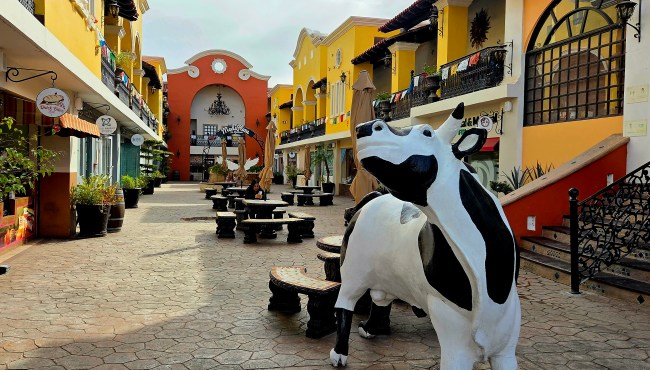 Los Algodones, Mexico